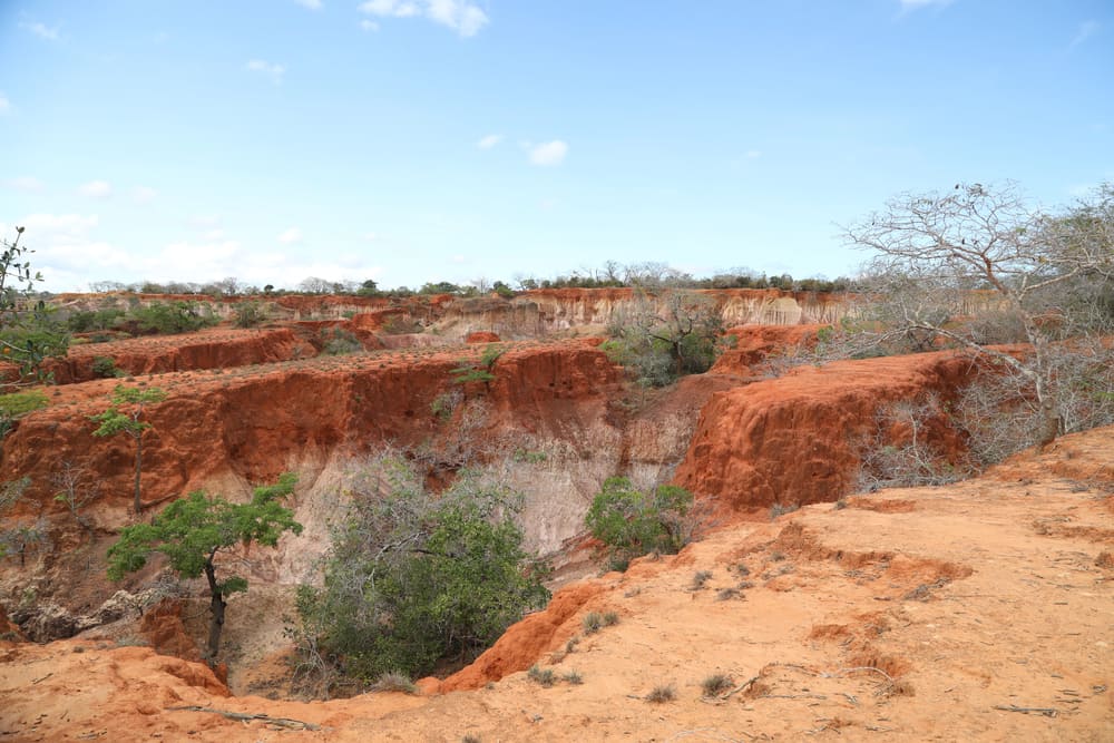 Tour Image