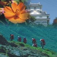 Studienreise nach Nordjapan mit Besuch bei den Ainu und auf zahlreichen Festivals. Impressionen aus Japan 2