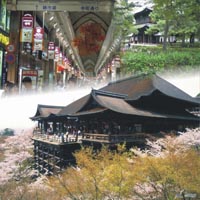 15 Tage Japan mit allen Ausflügen inklusive. Genießen Sie diese Reise. Impressionen aus Japan 3