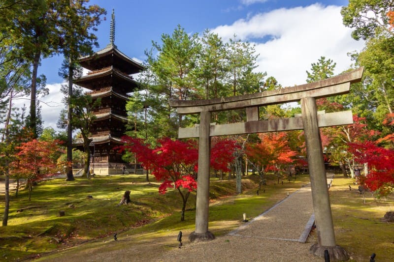 Ninnaji-Tempel Park