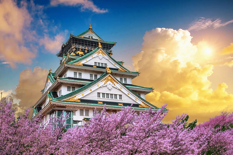 Burg Osaka im Burggraben