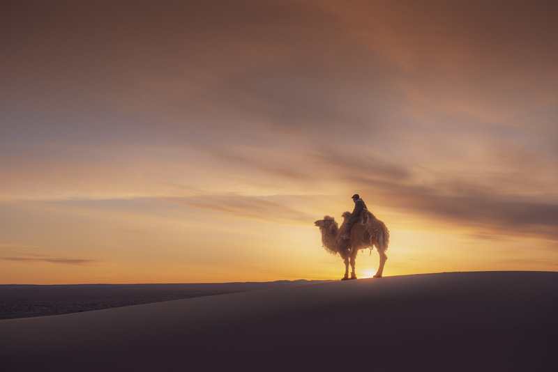 Kamelritt bei den Khongor-Sanddünen waehrend der Mongolei Rundreise