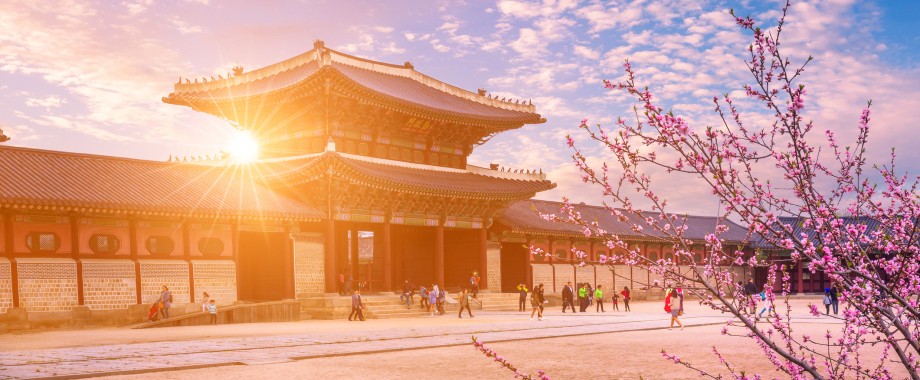 Gyeongbokgung Palast zur Kirschbluete