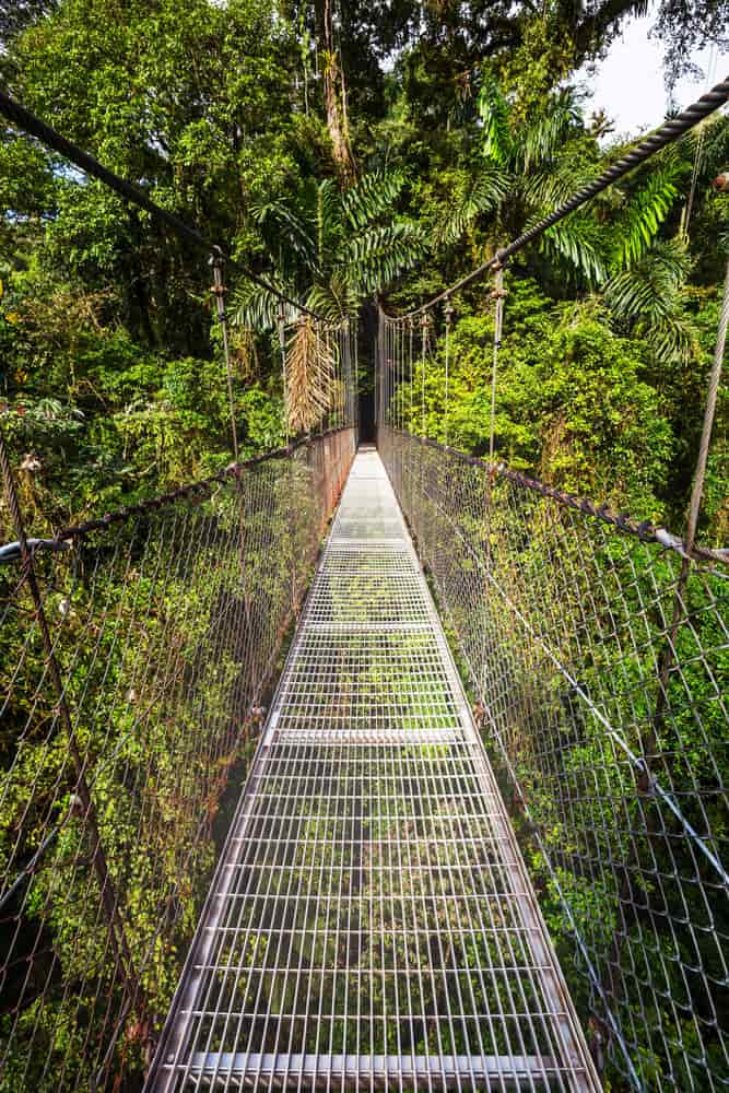 Wanderung im Nationalpark rund um den Vulkan Arenal in Costa Rica