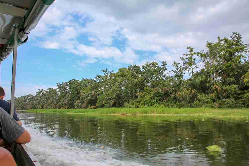 Bootstour auf den Kanaelen des Tortuguero Nationalparks in Costa Rica